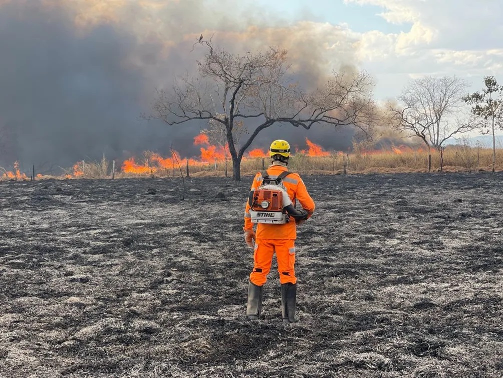 Medidas preventivas são preponderantes no combate a incêndios em propriedades rurais - Revista Incêndio