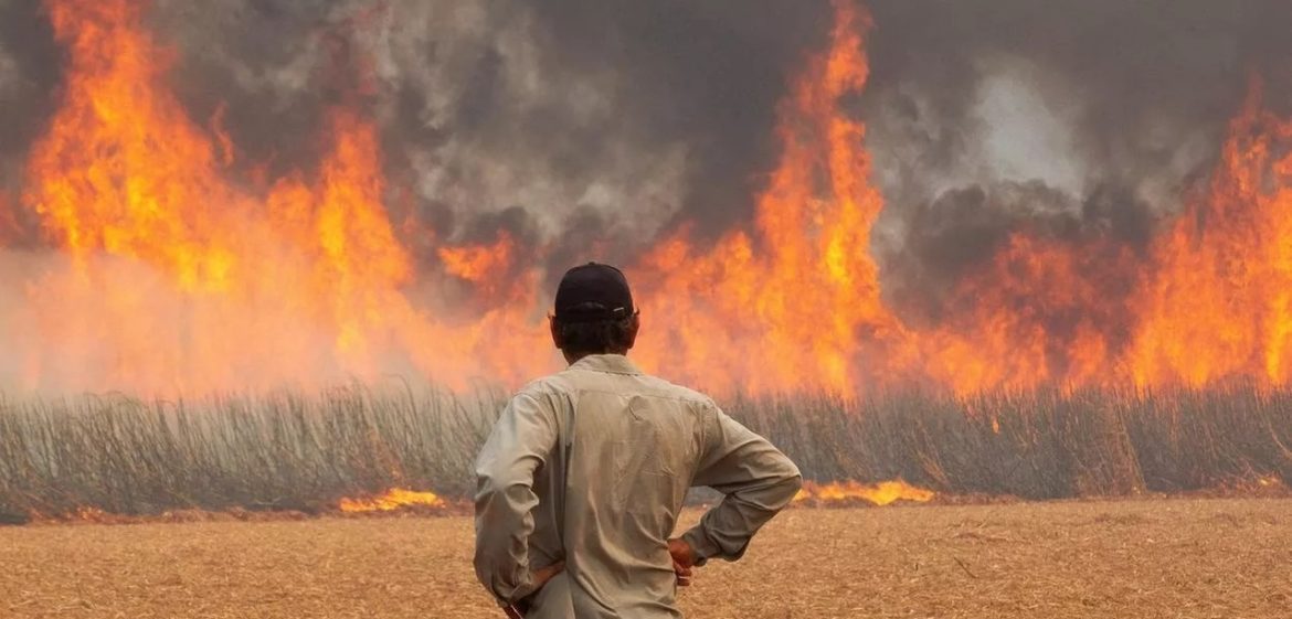 Cerests estão mobilizados para proteger a saúde dos trabalhadores em meio à crise dos incêndios no Brasil - Revista Cipa